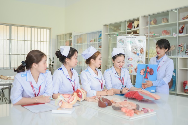 Biểu tượng ngành điều dưỡng tại Việt Nam và trên thế giới