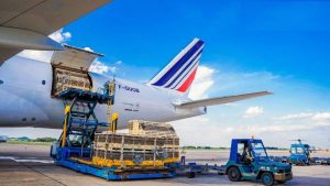 Các yếu tố ảnh hưởng tới mức điểm trúng tuyển