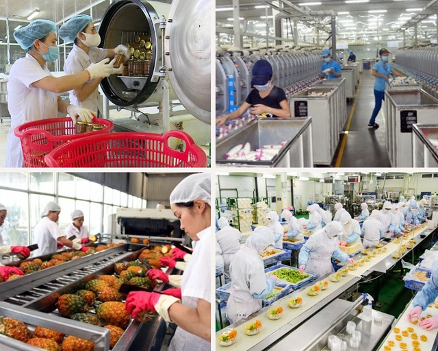 Tìm hiểu 4 ngành kinh tế mũi nhọn ở Việt Nam hiện nay
